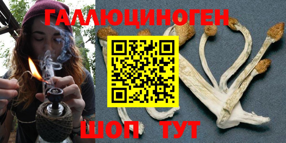 Псилоцибиновые грибы Magic Shrooms Северобайкальск
